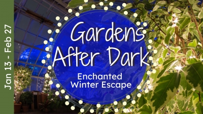 Gardens After Dark: Enchanted Winter Escape